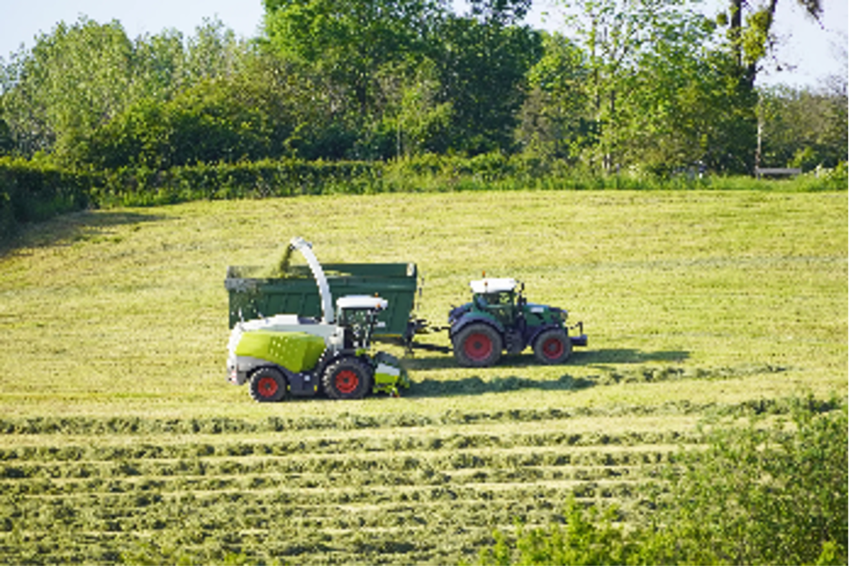 Vilsa1 Bad Dürrheimer Mitarbeiten bei der Kartoffelernte auf dem Acker der solidarischen Landwirtschaft Baarfood e.V.